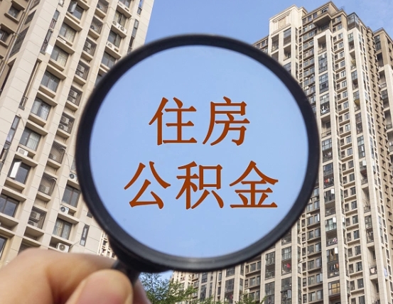 雅安退休后查不到公积金明细了吗（退休后公积金查询不到原因）